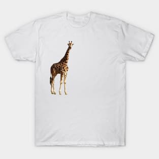 Ugandan Safari Giraffe T-Shirt